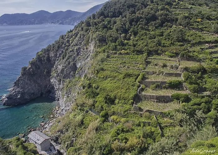 Marina di Corniglia Big Flat in 5 TERRE